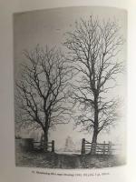 Folke Gullbys grafik