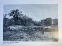 &Aring;ttiotalets Olof Krumlinde