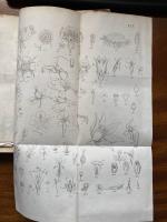 Elementarkurs i Botaniken 