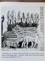 Spanska m&auml;stare