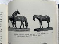 Asarum - En Blekingesocken