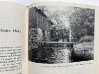 Asarum - En Blekingesocken