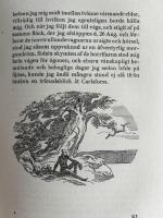 Sommar-Odyss&eacute;