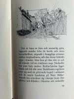 Bortom stadens yttersta staket och Stad i Norden