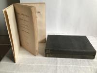 Aurora K&ouml;nigsmark och hennes sl&auml;gt.