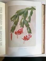 Vi och v&aring;ra blommor del II