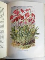 Vi och v&aring;ra blommor del II