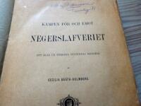 Kampen f&ouml;r och emot Negerslafveriet