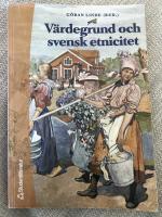 V&auml;rdegrund och svensk etnicitet