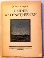 Under aftenstj&aelig;rnen