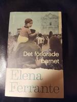 Det f&ouml;rlorade barnet