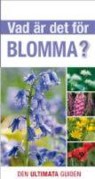 Vad &auml;r det f&ouml;r blomma?