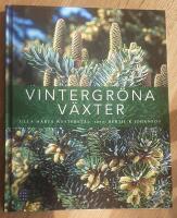 Vintergr&ouml;na v&auml;xter