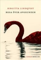 Resa &ouml;ver avgrunden