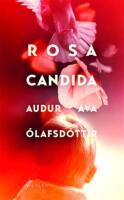 Rosa candida