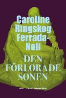 Den f&ouml;rlorade sonen