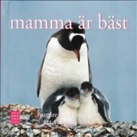 Mamma &auml;r b&auml;st : inspirerande ord om att vara mamma