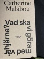 Vad ska vi g&ouml;ra med v&aring;r hj&auml;rna?