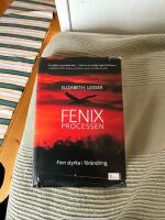 Fenixprocessen : finn styrka i f&ouml;r&auml;ndring