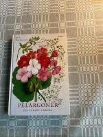 Pelargoner