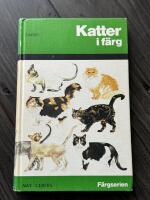 Katter i f&auml;rg