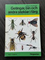 Getingar, bin och andra steklar i f&auml;rg