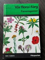 V&aring;r flora i f&auml;rg -Fanerogamer