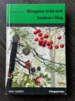 Skogens tr&auml;d och buskar i f&auml;rg