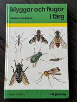 Myggor och flugor i f&auml;rg