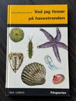 Vad jag finner p&aring; havsstranden