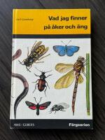 Vad jag finner p&aring; &aring;ker och &auml;ng