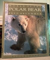 World of Polar Bear