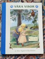 V&aring;ra visor