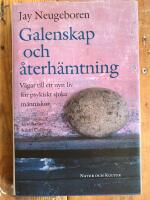 Galenskap och &aring;terh&auml;mtning: V&auml;gar till ett nytt liv f&ouml;r psykiskt sjuka m&auml;nniskor