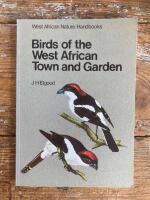 Birds of the West African town and garden