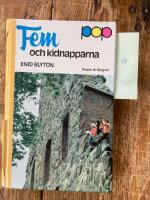Fem och kidnapparna