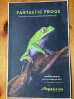 Affisch 42x66 / Fantastic Frogs / 2017, Aquaria, Stockholm