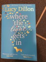 Where the Light Gets In