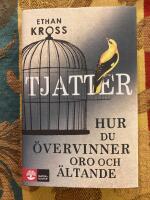 Tjatter : hur du &ouml;vervinner oro och &auml;ltande