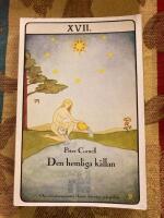 Hemliga K&auml;llan : om Initiationsm&ouml;nster i Konst, Litteratur och Politik