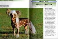 Chinese crested - [a comprehensive guide to owning and caring for your dog]