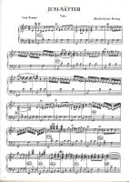 Dragspelsparaden - 50 nordiska dragspelskungar spelar upp med var sin komposition