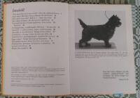 Cairnterrier : v&auml;rldens b&auml;sta kompis
