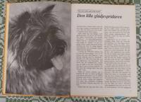 Cairnterrier : v&auml;rldens b&auml;sta kompis
