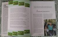 The magnificent Irish wolfhound