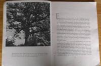 Bygd och bank - Tors&aring;s Sparbanks femtio&aring;rsskrift 1896-1946