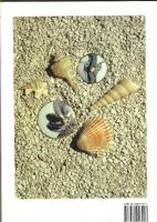 China painting - modern techniques