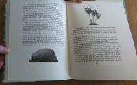 Four hedges - a gardener's chronicle with 88 illustrations reproduced from wood engravings by the author
