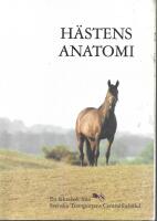 H&auml;stens anatomi