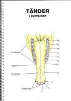 H&auml;stens anatomi
